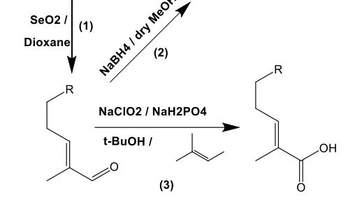 C-6不飽和無環(huán)單萜醇的結(jié)構(gòu)-氣味關(guān)系研究：一種比較的方法