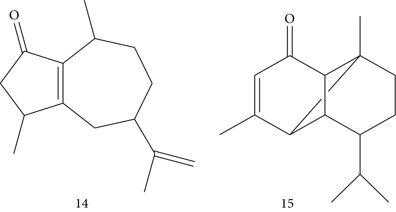 香精與香料(83)—乳香(Frankincense)