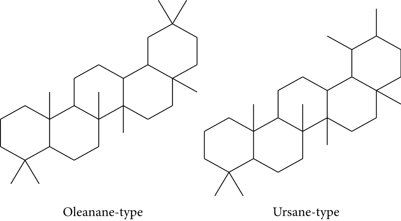 香精與香料(83)—乳香(Frankincense)