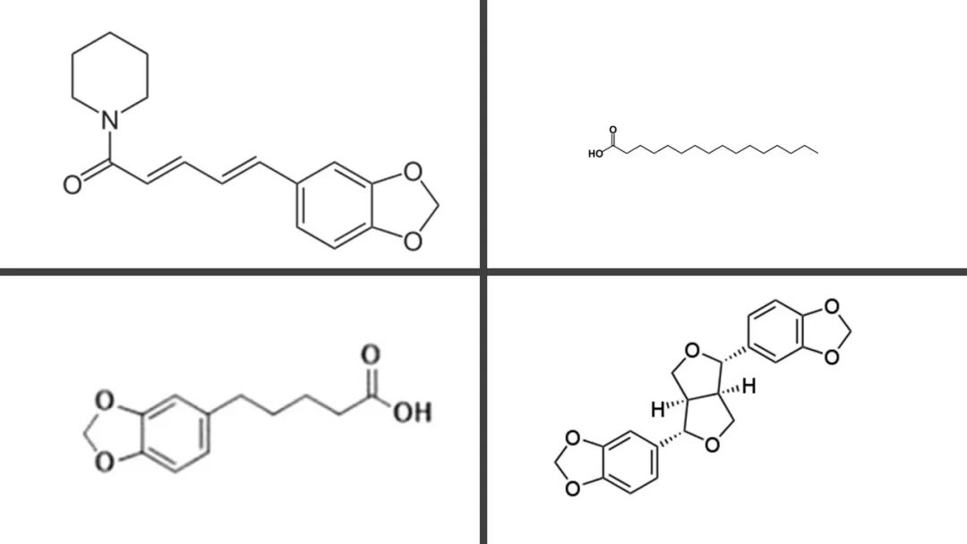 香精與香料(102)-蓽茇