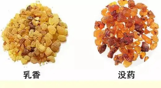 乳香，Boswellia Carterri Birdw 橄欖科