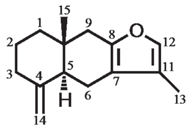 香精與香料(125)—半夏