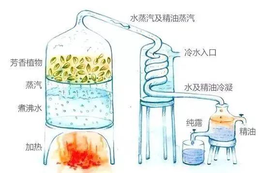 芳香療法，一個起源于5000年前的神秘學科
