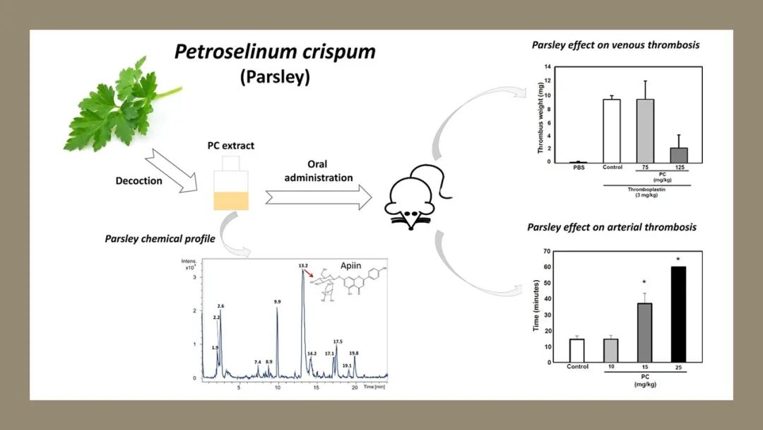 香精與香料(138)—?dú)W芹Petroselinum crispum