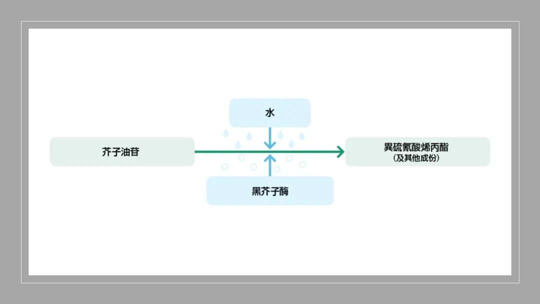 香精與香料(148)—山葵