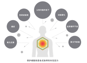 香精與香料(148)—山葵