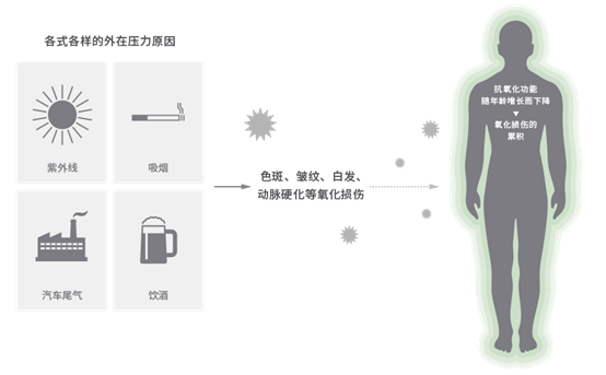 香精與香料(148)—山葵