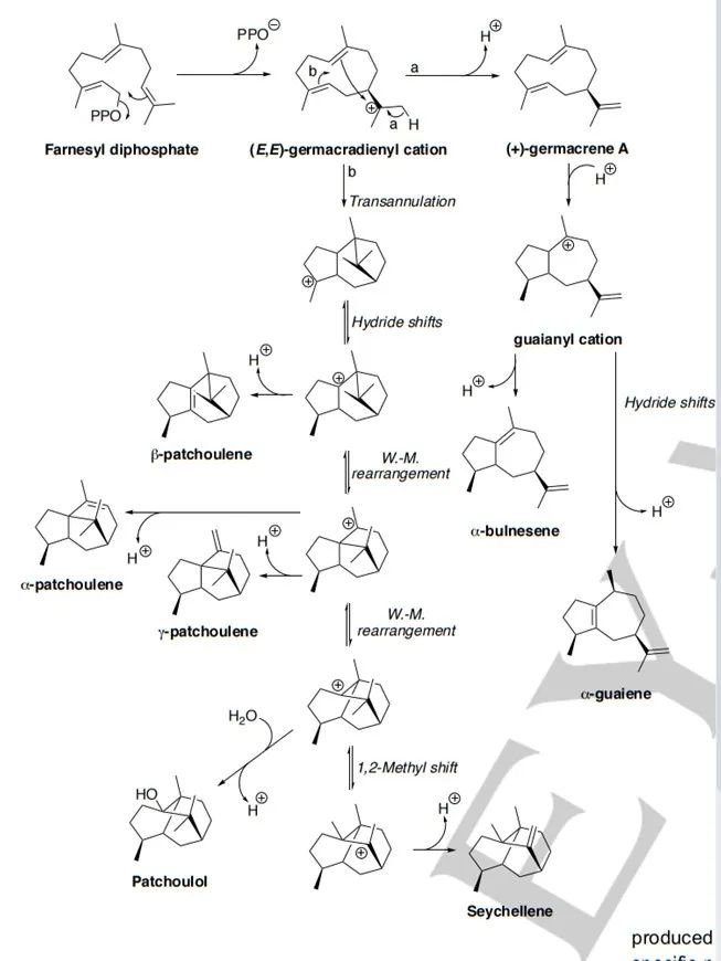 生物合成香料的化學(xué)組成、可持續(xù)性和天然性