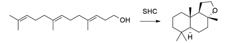 生物合成香料的化學(xué)組成、可持續(xù)性和天然性