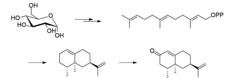 生物合成香料的化學(xué)組成、可持續(xù)性和天然性