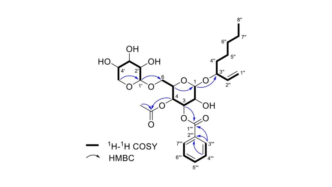 香精與香料(172)—涼粉草