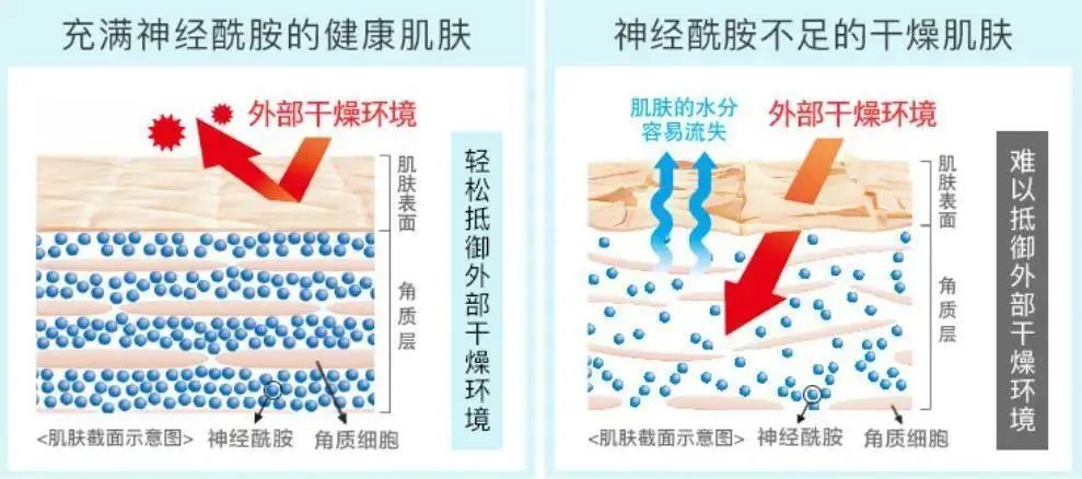 2022年護(hù)膚熱門(mén)功效成分有哪些？