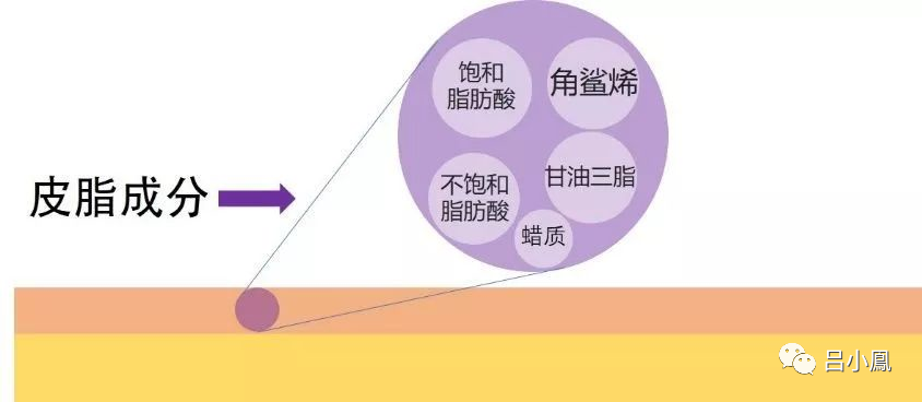 2022年護(hù)膚熱門(mén)功效成分有哪些？