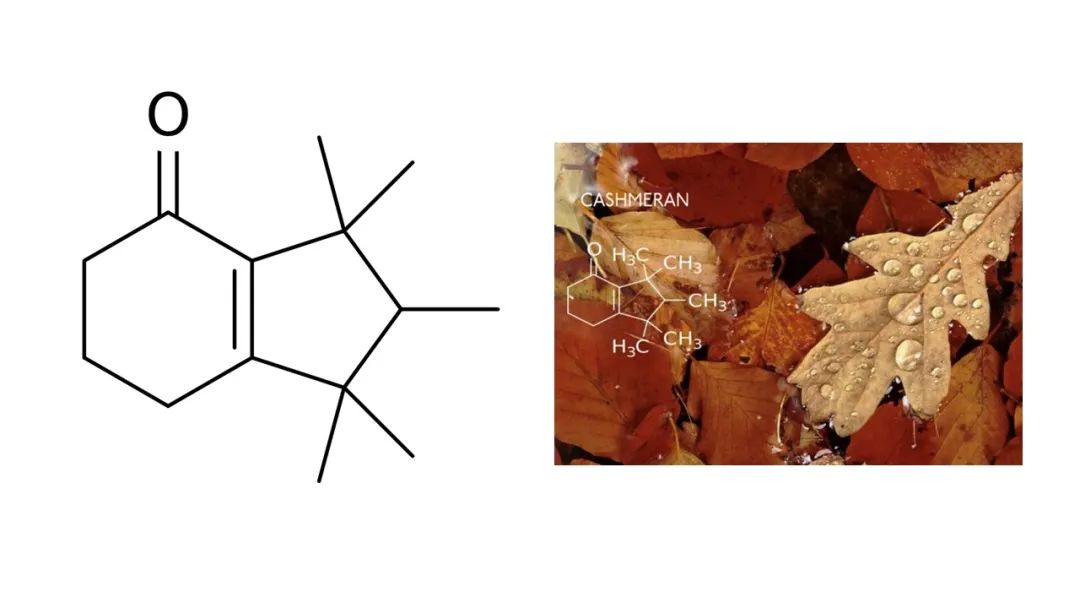 調(diào)香筆記(8)——50種常見的香水成分:氣味和起源