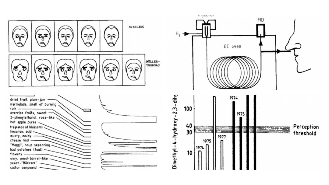 調(diào)香筆記(9)——多感官味覺感知:感官內(nèi)部和感官之間的調(diào)和、混合、融合和配對