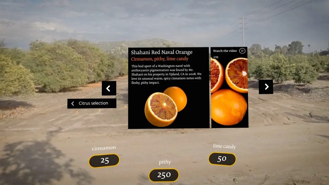 虛擬現(xiàn)實(shí)商業(yè)-奇華頓虛擬口味旅行?柑橘-把風(fēng)味創(chuàng)造到下一個水平