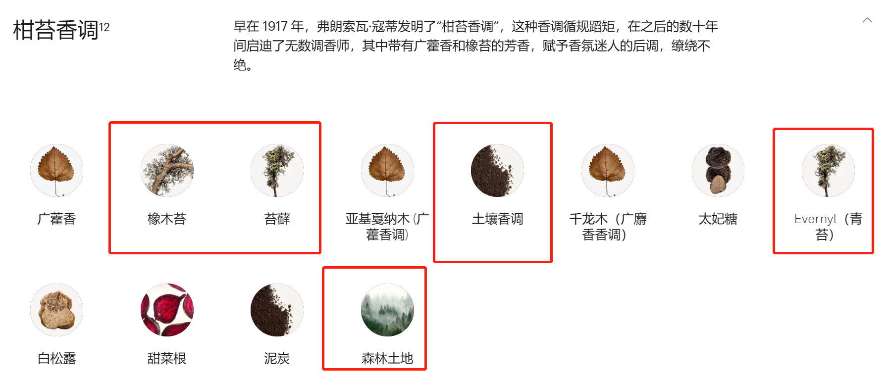 香水中的灌木叢氣息