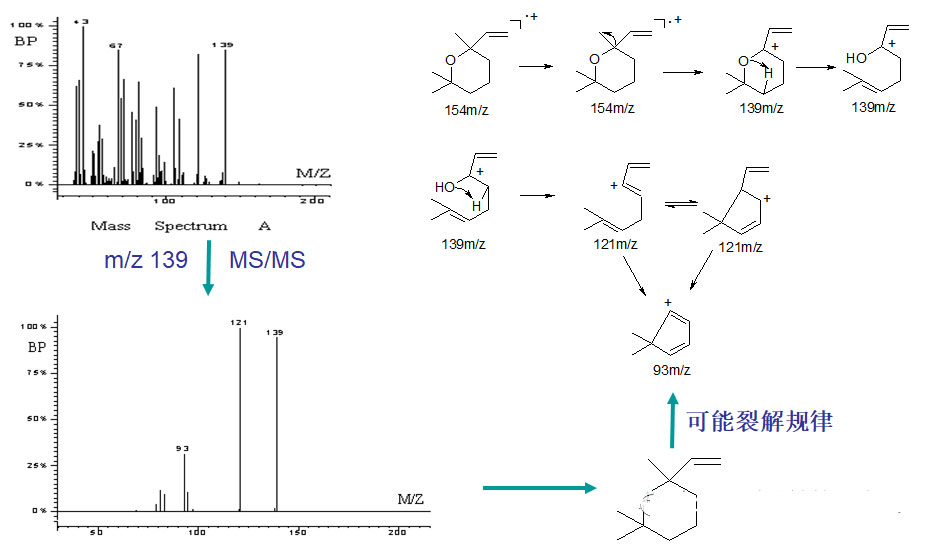 氣相色譜-質(zhì)譜定性分析