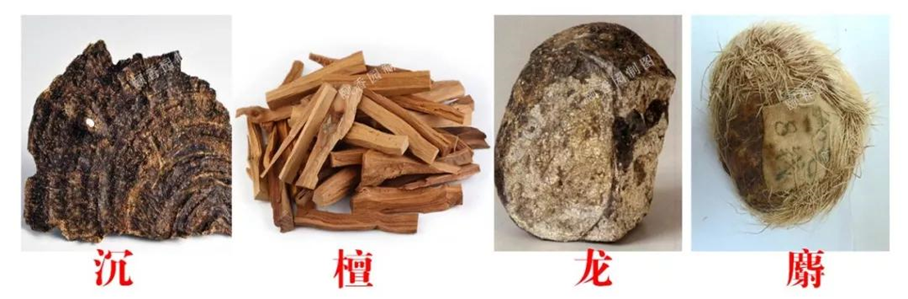 古代香料的發(fā)現(xiàn)、發(fā)展和成熟